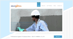 Desktop Screenshot of celluloseether.com